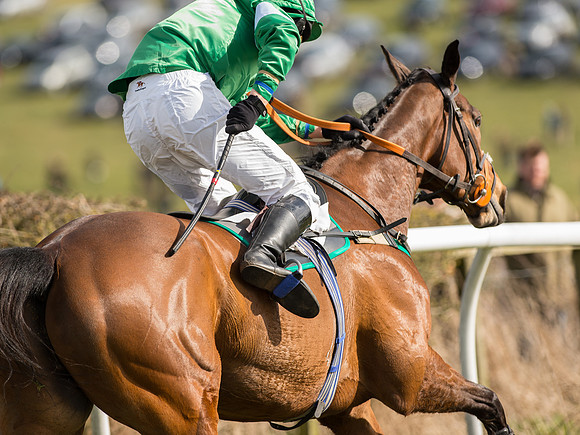 Race 3 - Mixed Open race (56 of 76).jpg