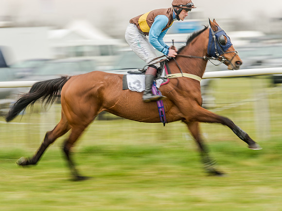 Race 5 - Open Maiden Division 2 (30 of 112).jpg