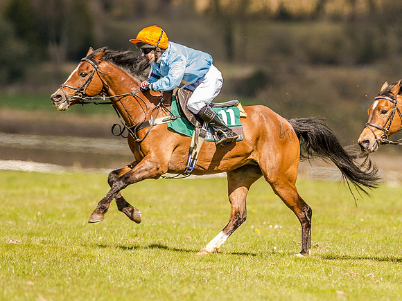 Pony Races (70 of 127).jpg