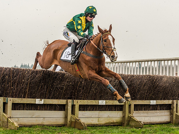 Race 5 - Open Maiden Division 2 (75 of 112).jpg
