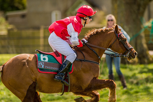 Pony Races (39 of 127).jpg