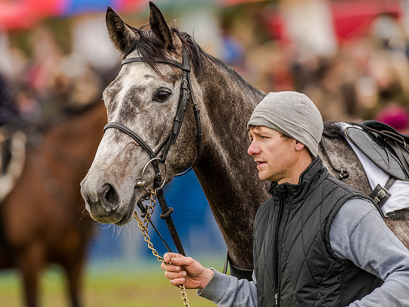 Race 3 - Young Horse maiden 2m5f (31 of 124).jpg