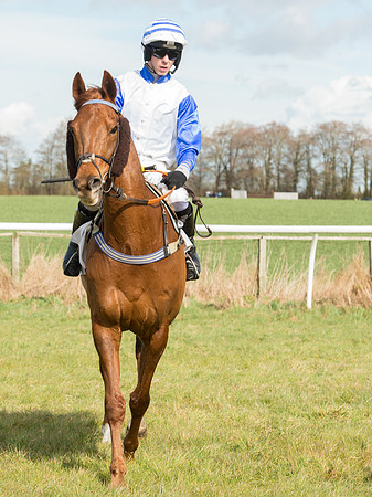Race 2 - Confined Hunts Race (33 of 87).jpg