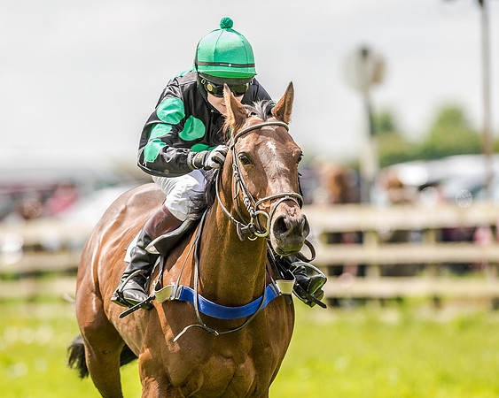 Pony Race 3 (48 of 56).jpg