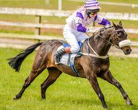 Pony Race 1