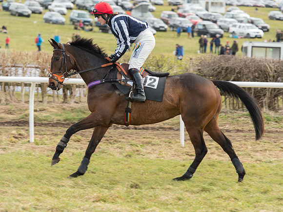 Race 5 - Restricted Race (26 of 120).jpg