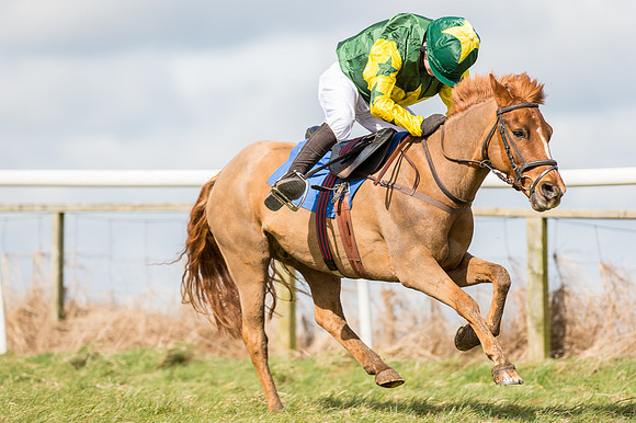 Pony Race 1 - 138cm  (47 of 57).jpg