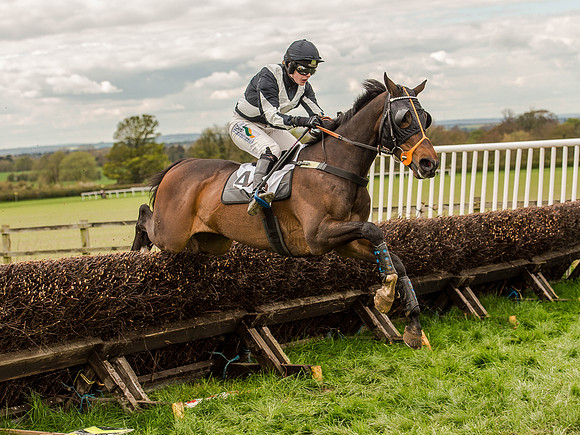 Race 3 - Young Horse maiden 2m5f (78 of 124).jpg