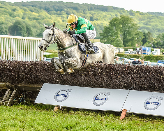 Race 7 - Div 2 - Open Maiden (105 of 163).jpg