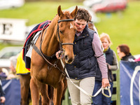 Race 6 - Open Maiden Division 1  (9 of 133).jpg
