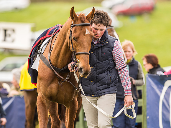 Race 6 - Open Maiden Division 1  (9 of 133).jpg