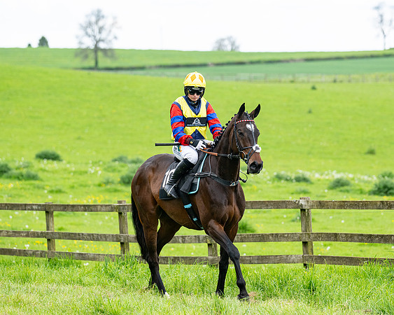 Race 2 - 2M4F Conditions (69 of 195)