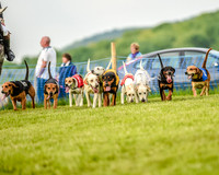 Race 8  - Hound Open Race (4 of 22).jpg