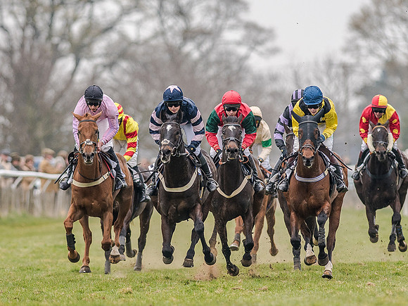Race 5 - Open Maiden Division 1  (43 of 90).jpg