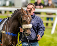 Pony Race 2 (7 of 77).jpg
