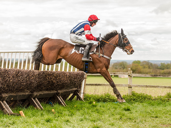 Race 3 - Young Horse maiden 2m5f (96 of 124).jpg