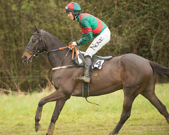 Race 5 - Open Maiden (29 of 147).jpg