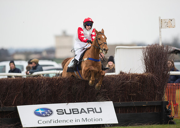 Race 6 - Confined Hunts-103