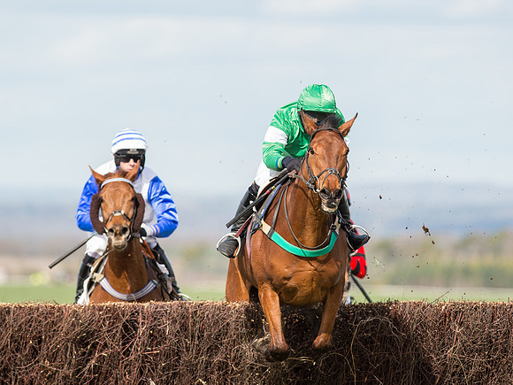 Race 2 - Confined Hunts Race (35 of 87).jpg