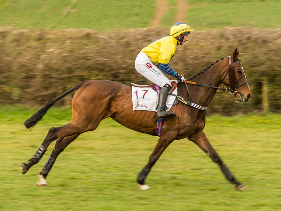 Race 6 - Open Maiden Division 1  (33 of 133).jpg