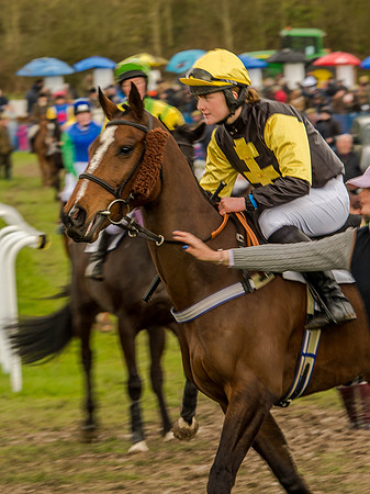 Race 2 - PPORA Club Members Conditions 2m5f (42 of 137).jpg