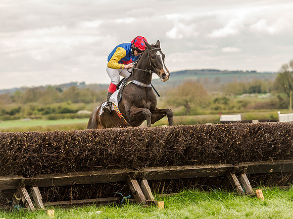 Race 2 - PPORA Club Members Conditions 2m5f (89 of 137).jpg