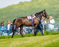 Race 3 - The Intermediate Race (2 of 97).jpg