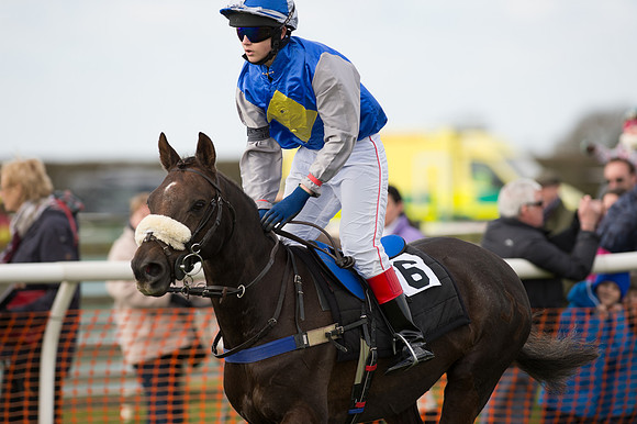Pony Race 1 - 138cm -108