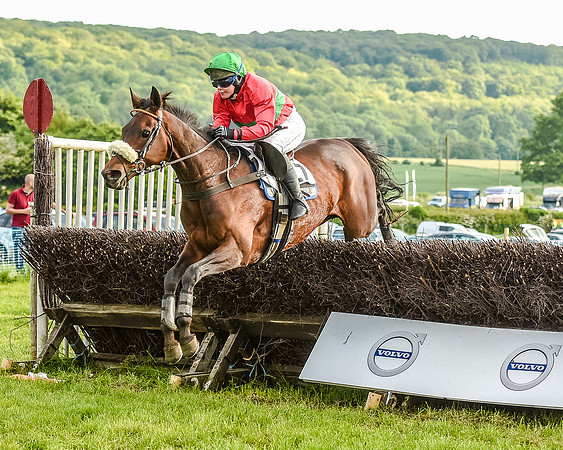Race 7 - Div 2 - Open Maiden (110 of 163).jpg