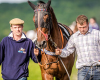 Race 7 - Div 1 - Open Maiden (14 of 94).jpg
