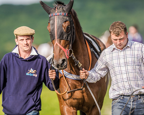 Race 7 - Div 1 - Open Maiden (14 of 94).jpg