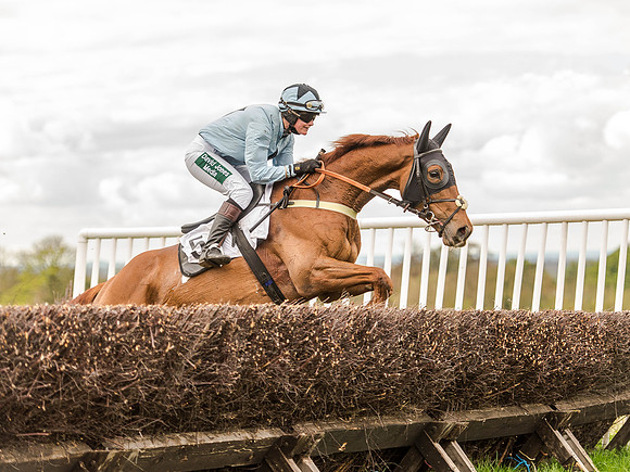 Race 3 - Young Horse maiden 2m5f (99 of 124).jpg