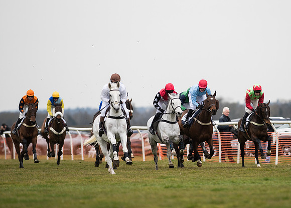 Race 6 - Confined Hunts-58