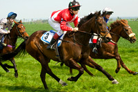 Ponies and Hounds 9
