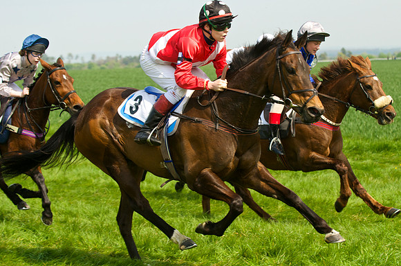 Ponies and Hounds 9