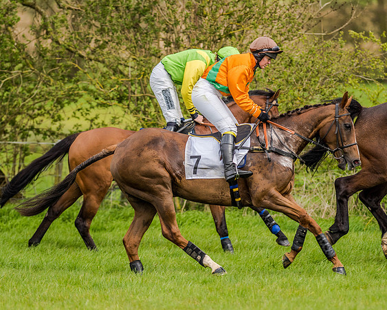 Race 7 - PPORA Members Conditions (37 of 192)