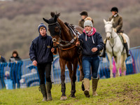 Race 3 - Young Horse maiden 2m5f (17 of 124).jpg
