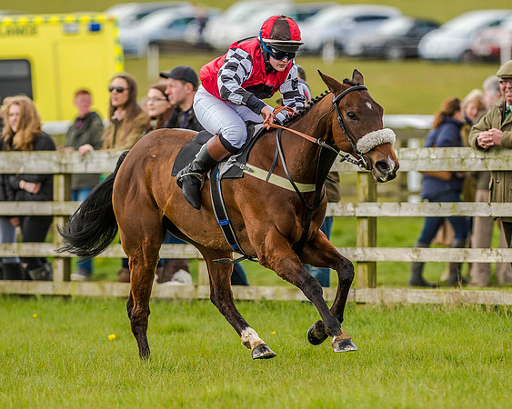 Pony Race 3 (37 of 78).jpg