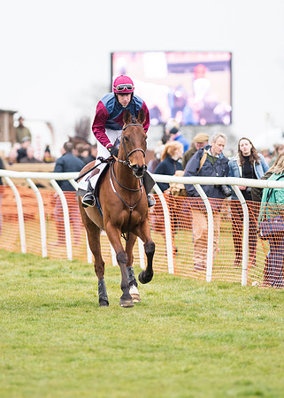Race 7 - PPORA Novice Riders-9