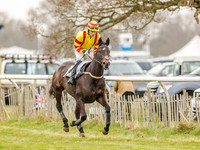 Race 5 - Open Maiden Division 1  (18 of 90).jpg