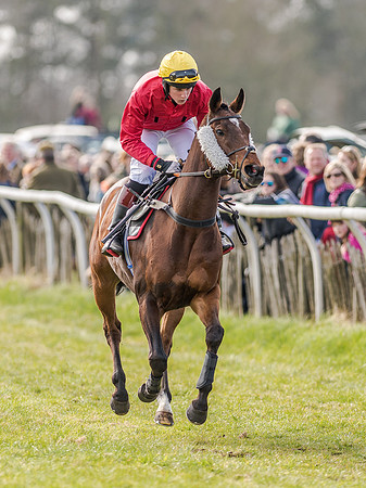 Race 4 - PPORA Club Members for Novice Riders (53 of 131).jpg