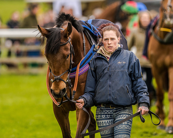Race 2 - Open Maiden  (31 of 170).jpg