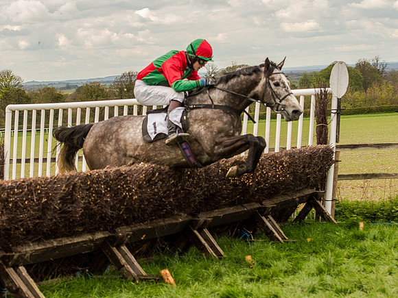 Race 3 - Young Horse maiden 2m5f (89 of 124).jpg