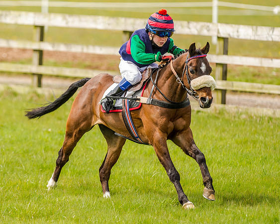 Pony Race 1  (35 of 65).jpg