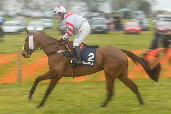 Race 4 - Rectricted Race (31 of 133).jpg