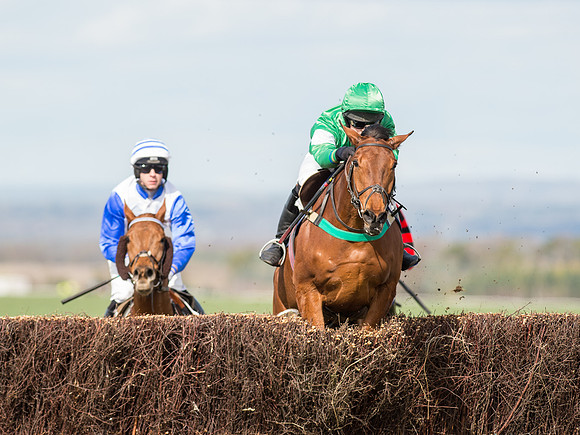 Race 2 - Confined Hunts Race (34 of 87).jpg
