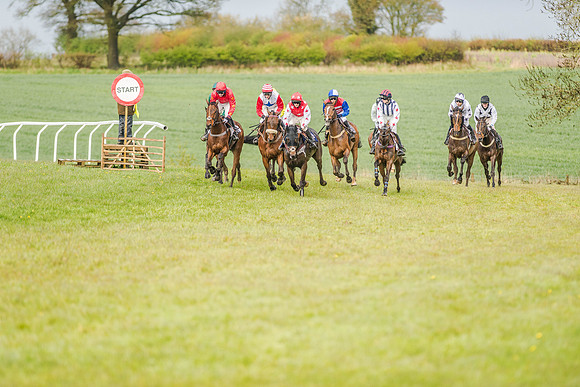 Race 5 - Open Maiden (84 of 147).jpg