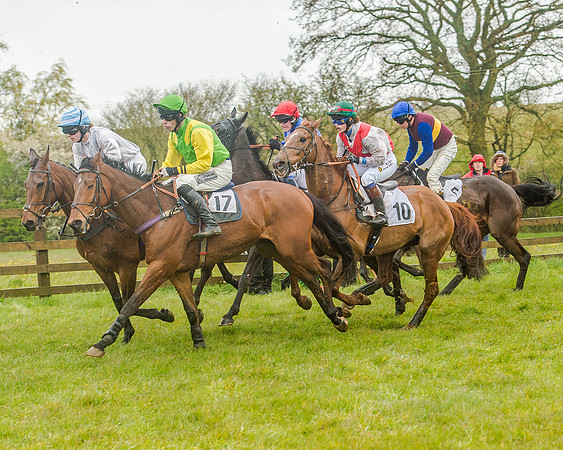 Race 5 - Restricted Race (70 of 146).jpg