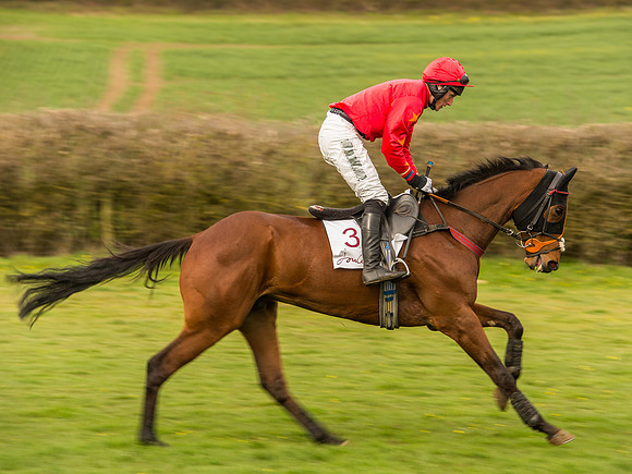 Race 6 - Open Maiden Division 1  (37 of 133).jpg