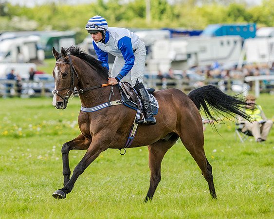 Race 4 - PPORA Novice Riders (69 of 196).jpg